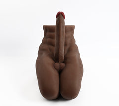 USA In Stock丨Fast Shipping丨31cm/12.2Inch Sex Doll – Torso Only