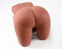 USA In Stock丨Fast Shipping丨55cm/21.7Inch Sex Doll – Torso Only